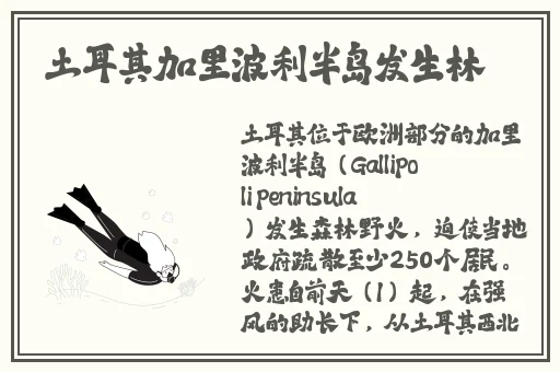挽起裙子跨开双腿运动